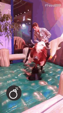 charles poon reccomend Fat Woman On Mechanical Bull