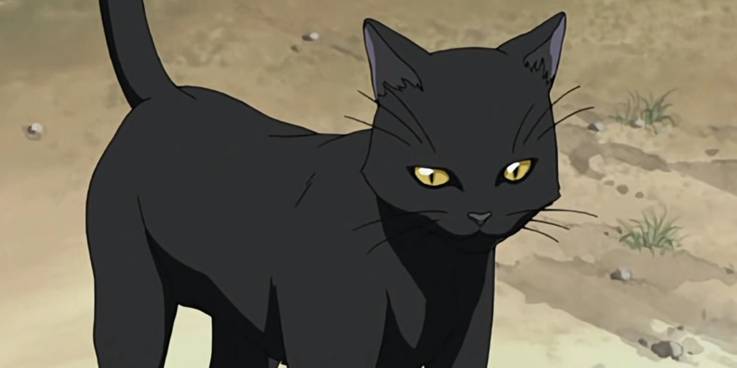 curtis larsen add black cat english dub photo