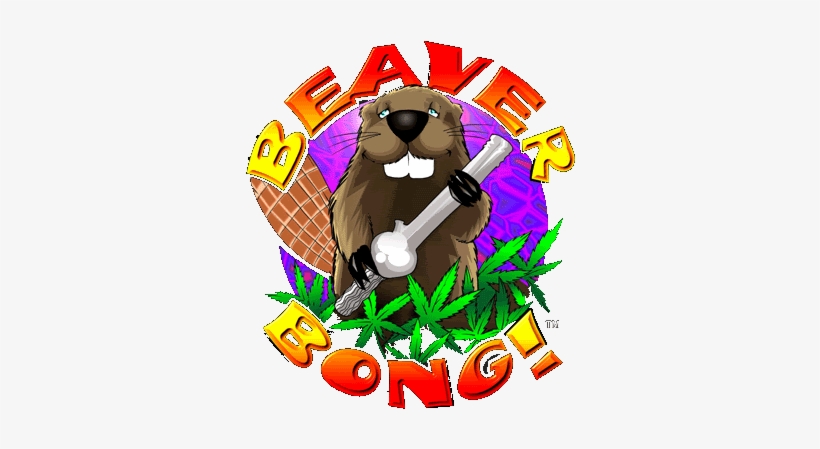 dare fagbemi add photo beaver bong for sale