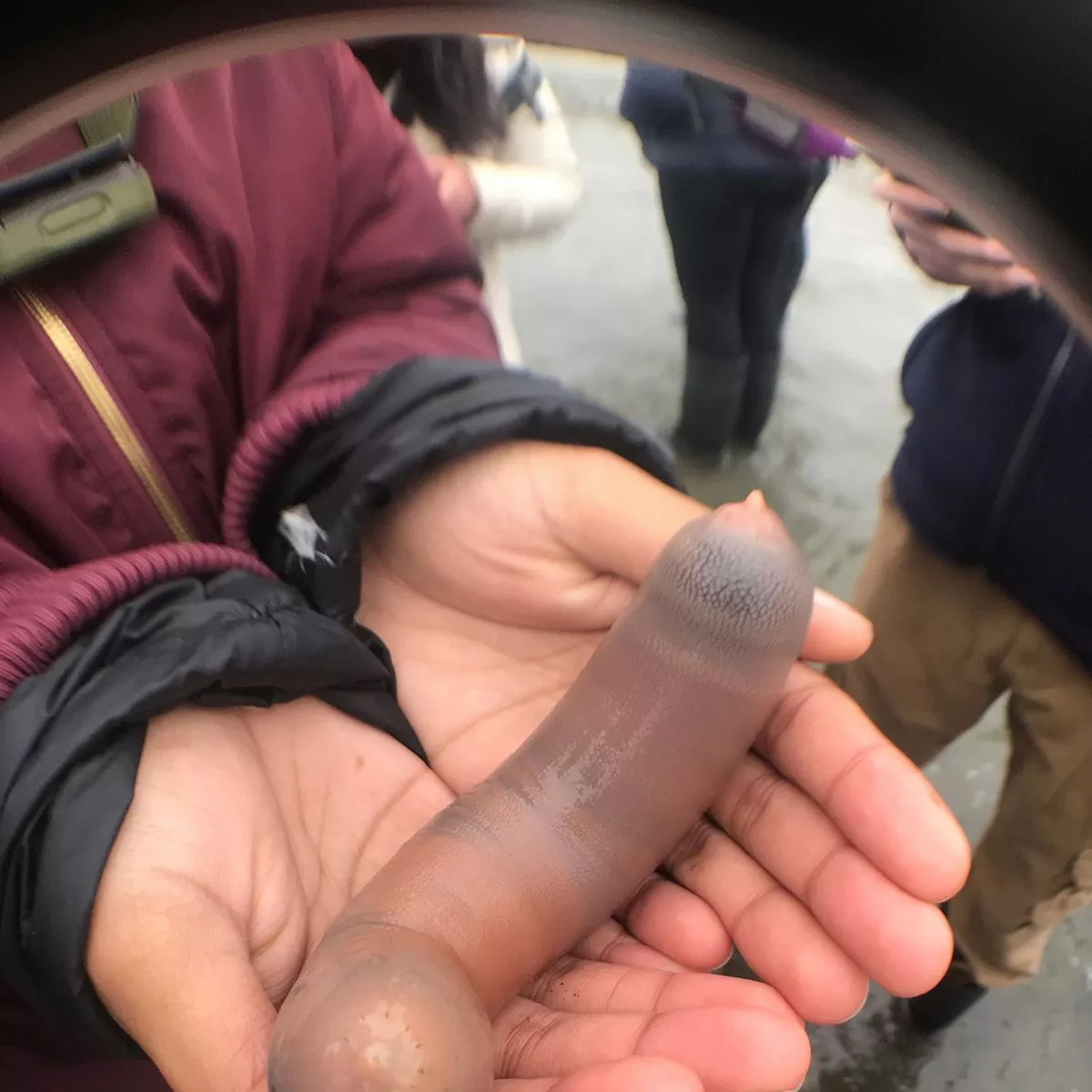 Best of 10 inch penis photo