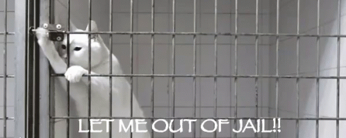 bill treiber reccomend getting out of jail gif pic