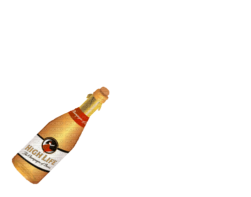 charles burgoon reccomend champagne bottle popping gif pic