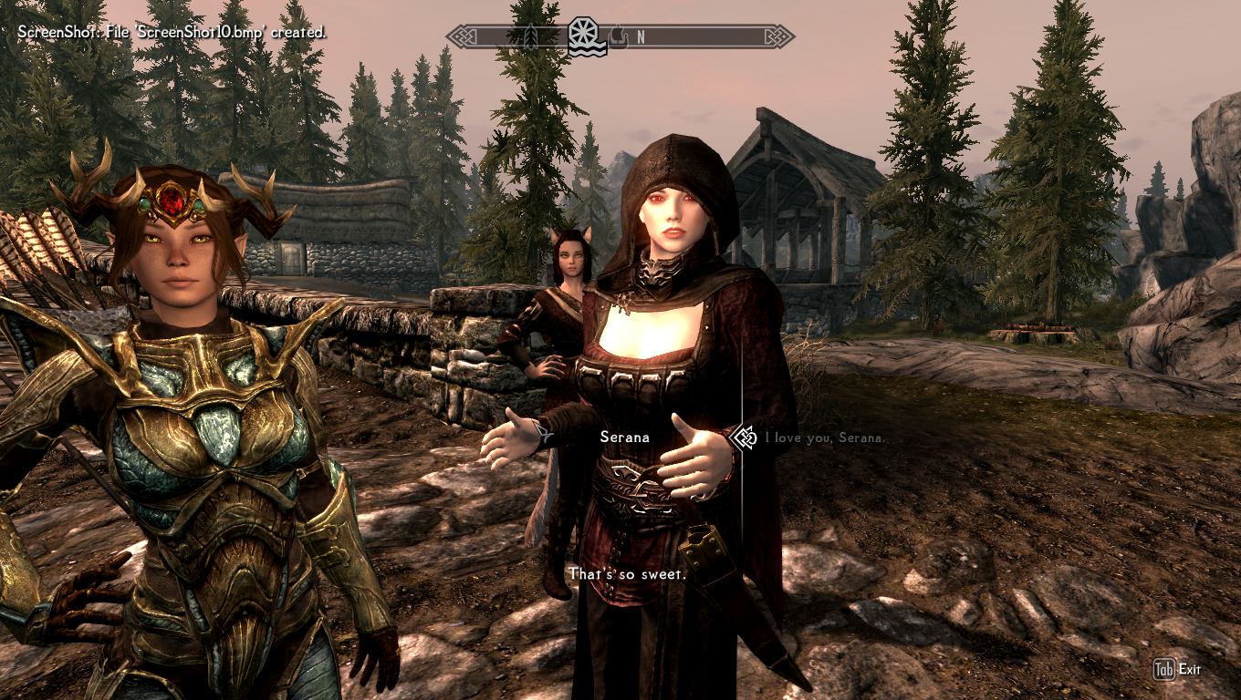 antionette bouwer reccomend skyrim sex with spouse mod pic