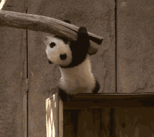 Best of Hanging on gif