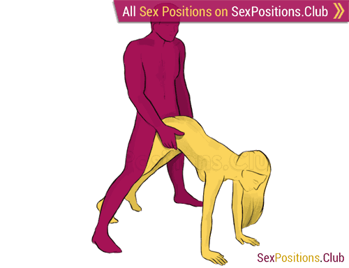 bill reese share 101 animated sex positions photos