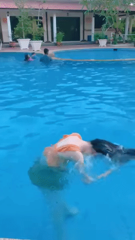 bonnie hibbard reccomend water is wet gif pic