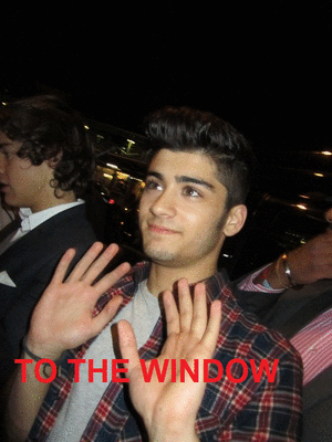 anne wiens reccomend to the window to the wall gif pic