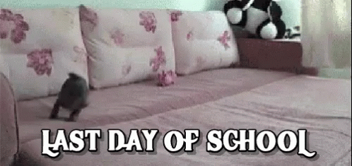 bree shanahan reccomend last day of school gifs pic