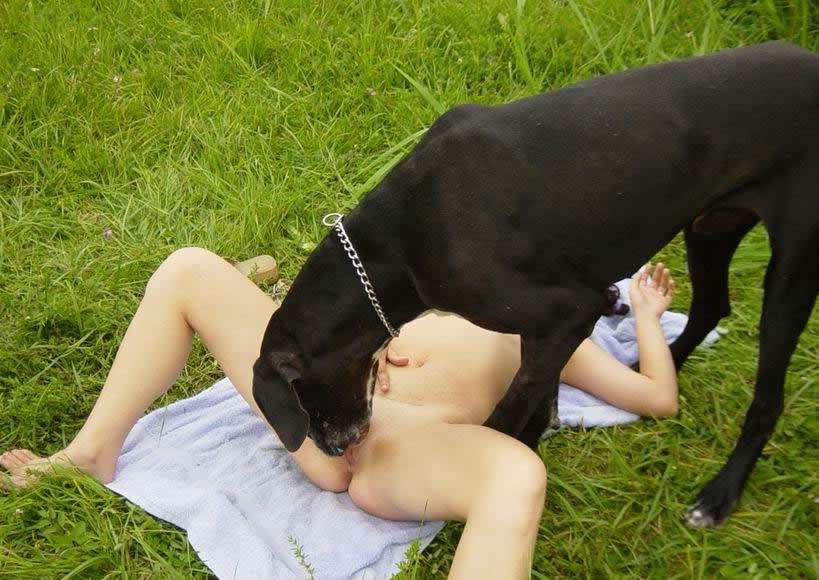 big dogs having sex