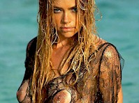 allan feeley reccomend denise richards nip slip pic