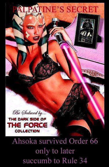 aileen perrin reccomend starwars rule 34 pic