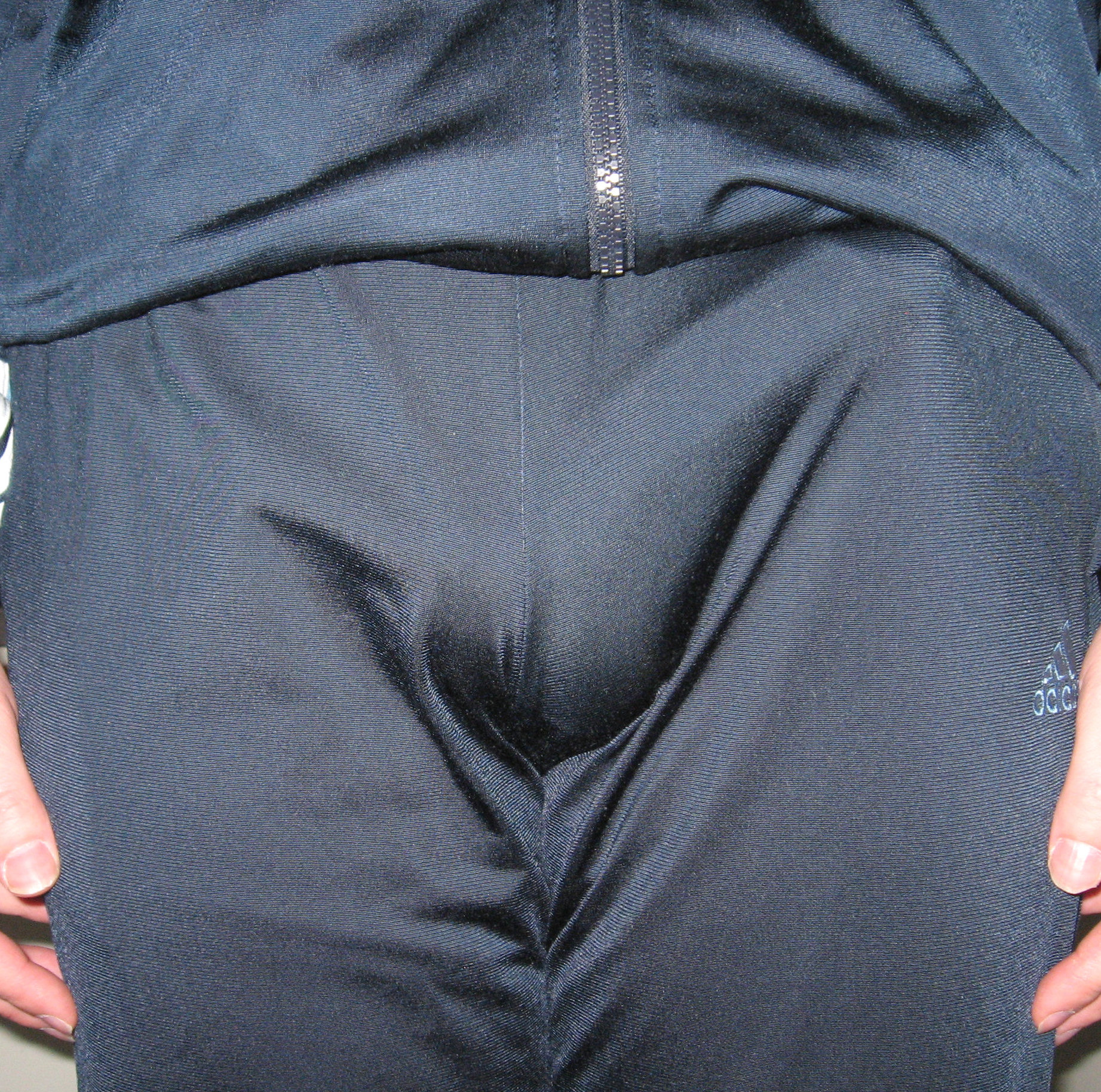 daniel rodgerson reccomend penis showing through pants pic