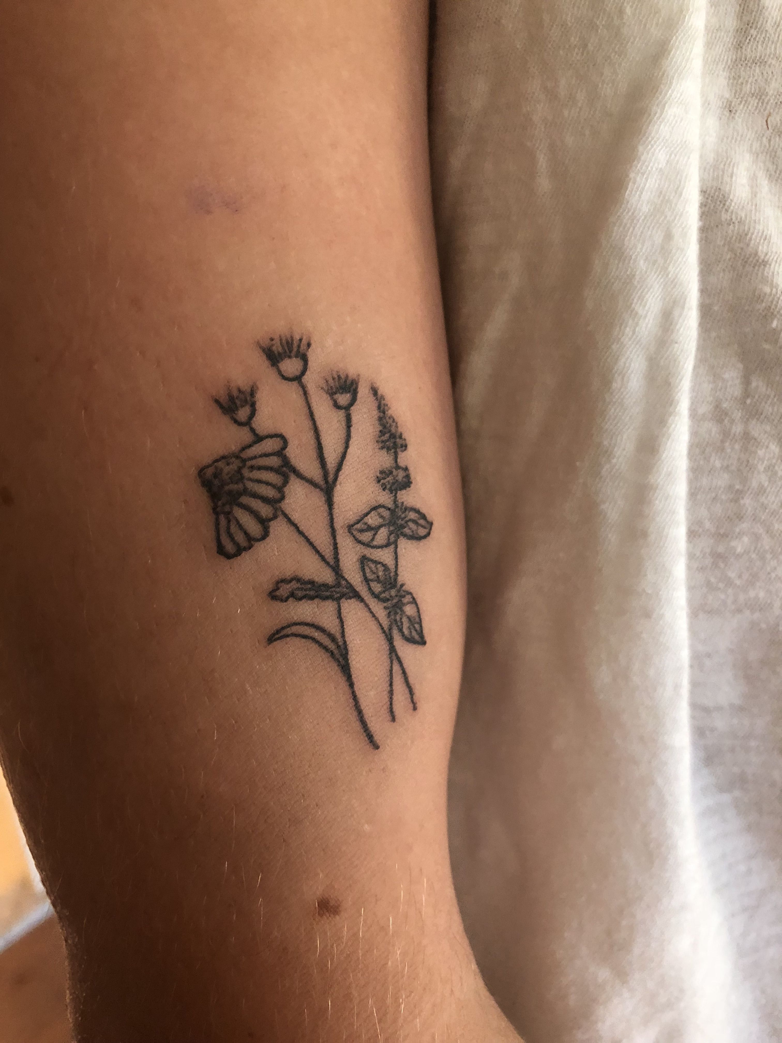 danielle ran reccomend tiny black eyed susan tattoo pic