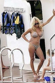 Pamela Anderson Huge Boobs board girls