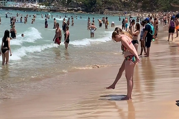 ah zou reccomend Australian Nude Beaches Photos