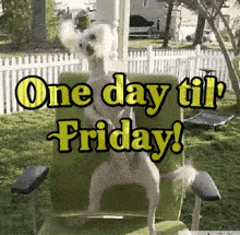 diane wiswall reccomend Almost Friday Gif