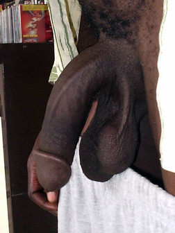 chelsey ferita reccomend big black african dick pic