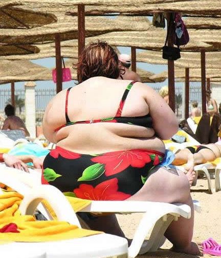 brian newell reccomend Pictures Of Fat Women In Bikinis