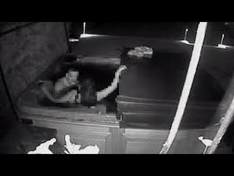 danvy nguyen reccomend caught fucking on security cam pic