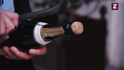 alcris bungay reccomend champagne bottle popping gif pic