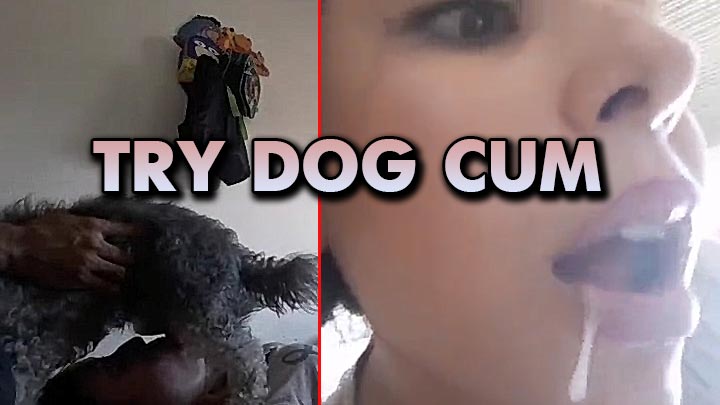 girl sucks dogs dick