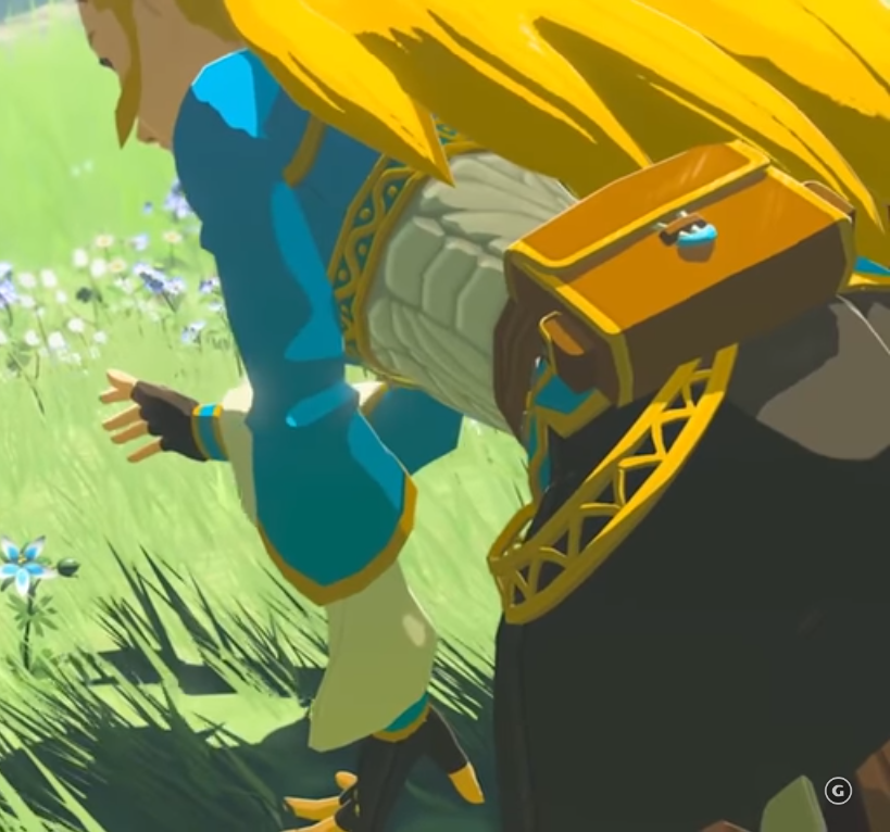 ali turkmen share breath of the wild butt photos