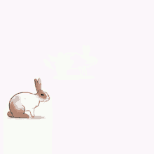denise morland reccomend easter bunny hopping gif pic