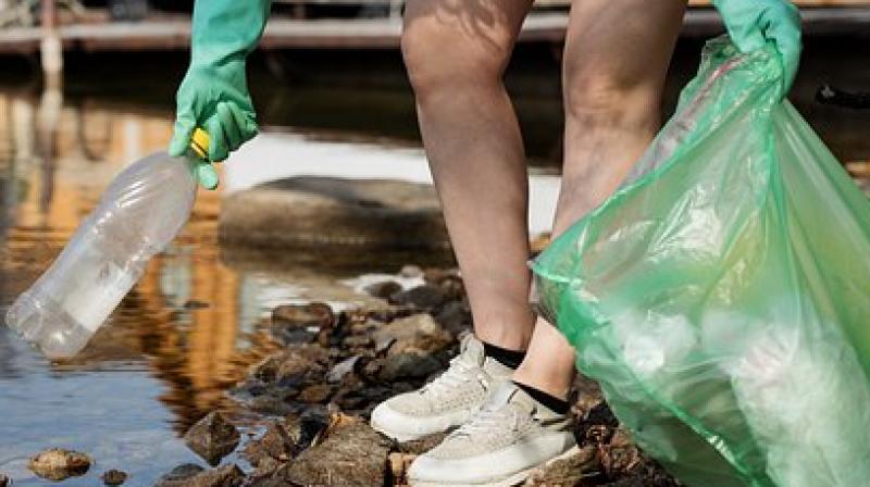 daniel de boer reccomend Leolulu Beach Clean Up