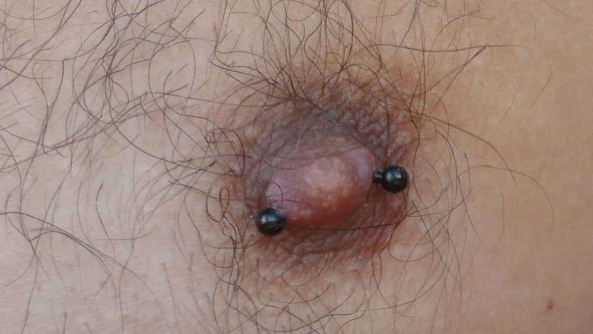 Best of Nipple piercing ripped out