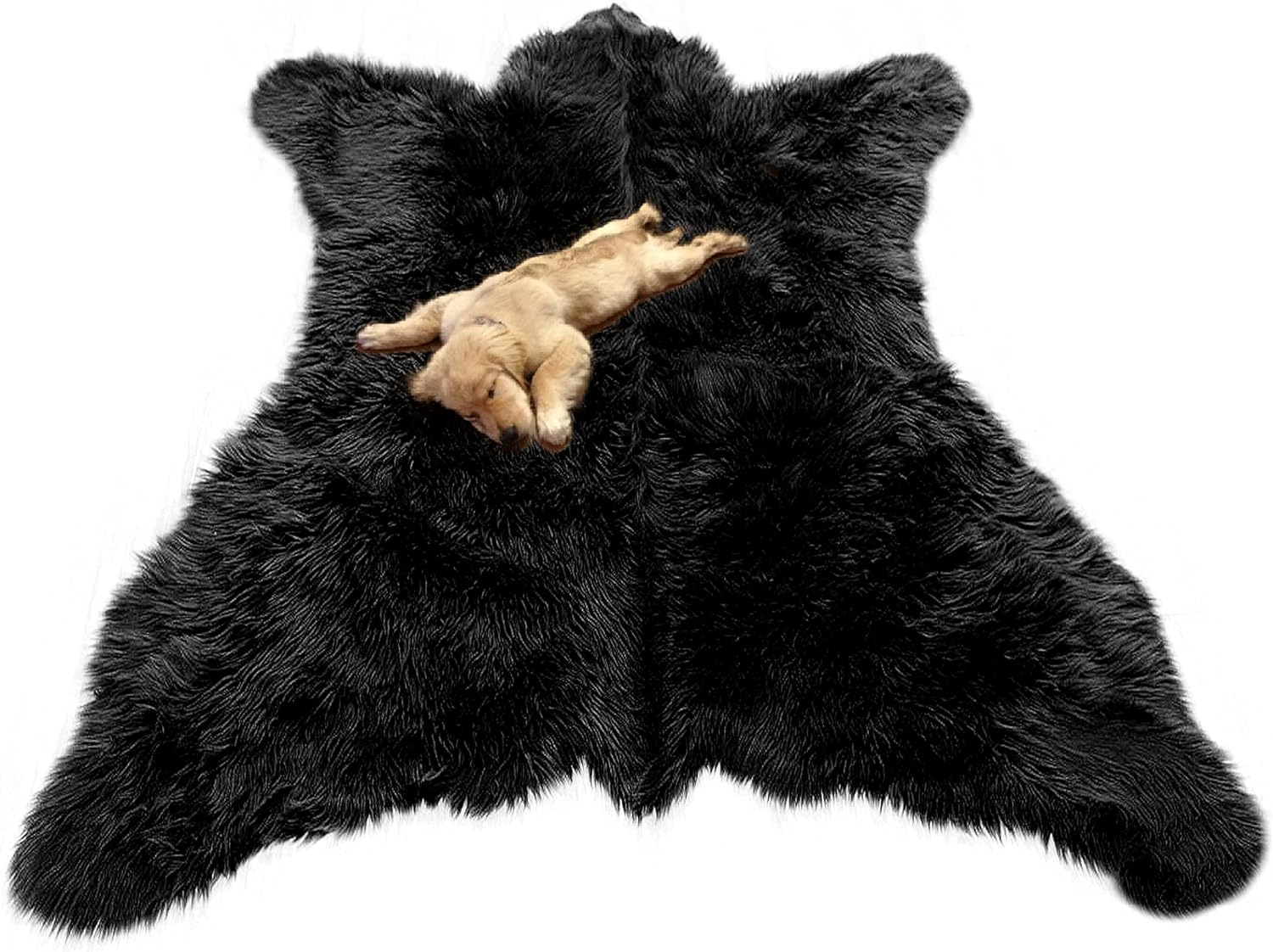 Best of Romantic bear skin rug fireplace