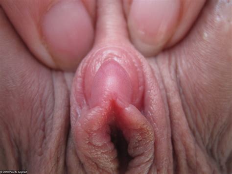 brittany irizarry reccomend tumblr vagina close up pic