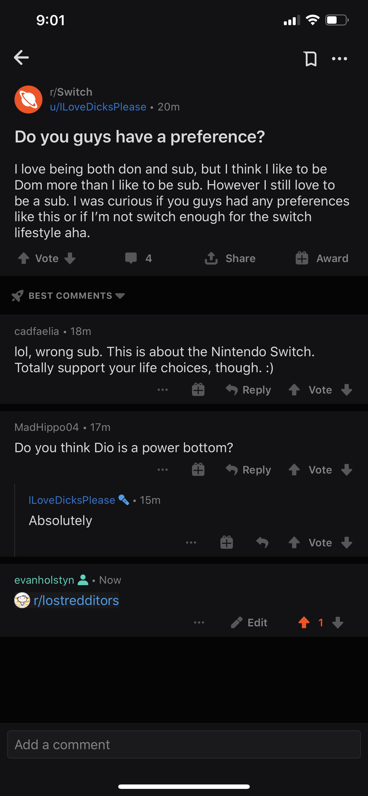 what is a switch in bdsm